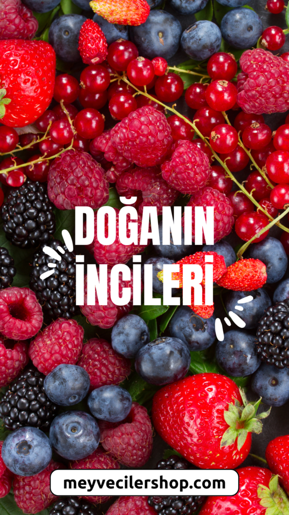 Meyveciler Fresh Online Market Dalından Sofranıza Organik Taze Meyve ve Sebzeler